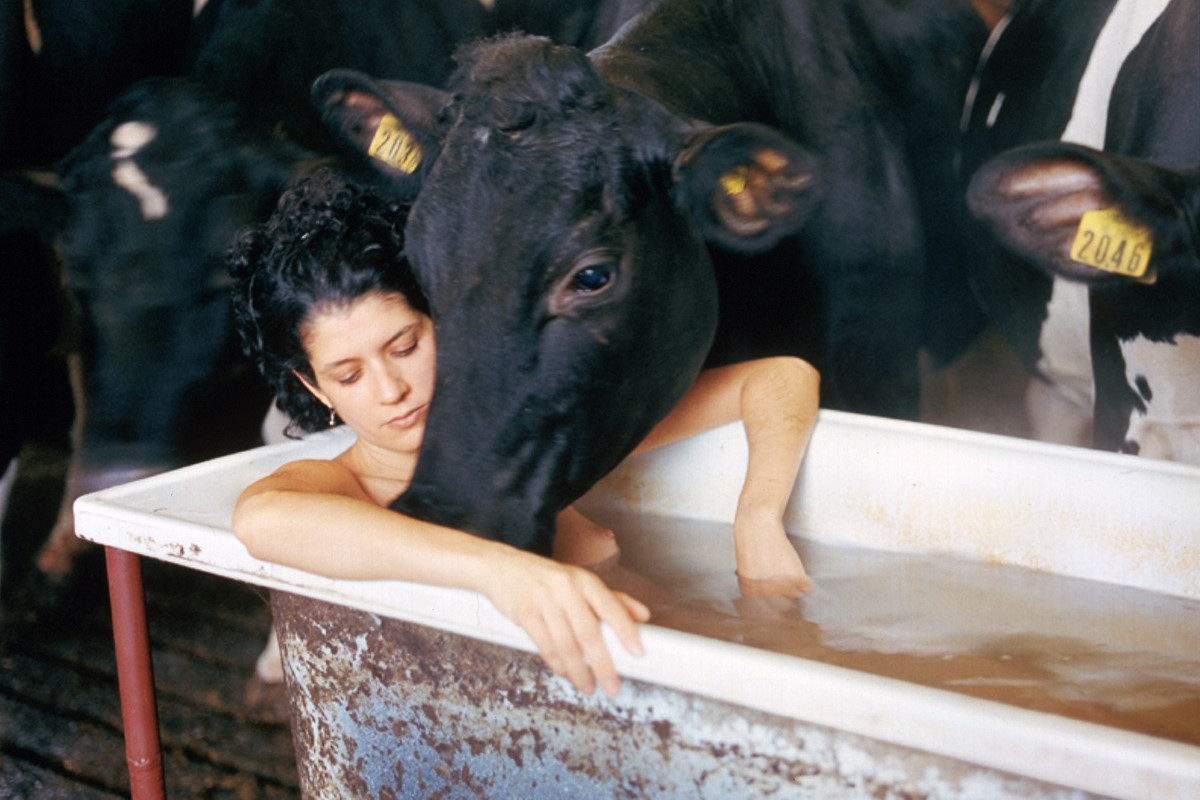 How Contemporary Artists Are Changing the Way We See Parenthood: As Hettie Judah’s new book Acts of Creation: On Art and Motherhood is published, Amelia Abraham takes a closer look at the artists redefining parenthood, including Carrie Mae Weems,… dlvr.it/T9crP8