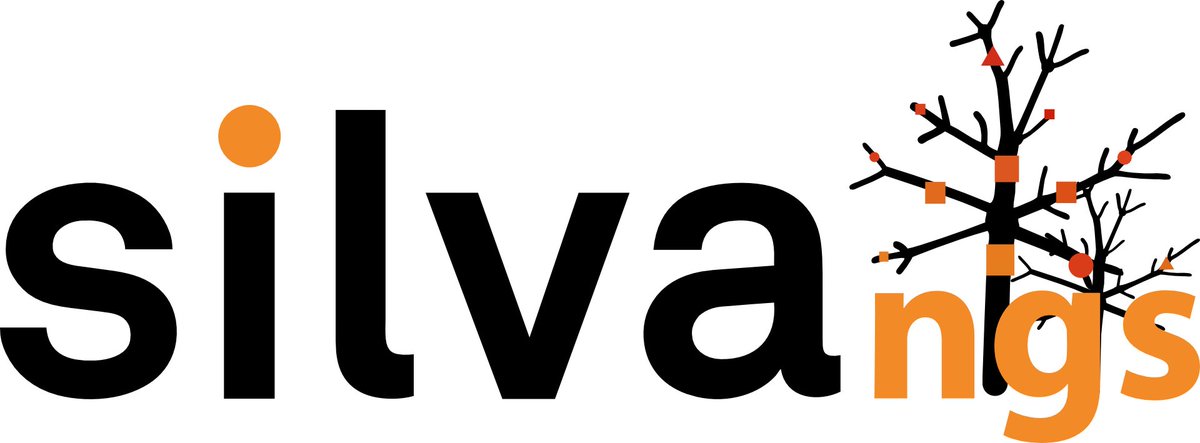SILVAngs has been updated to use SILVA 138.2 by default.
