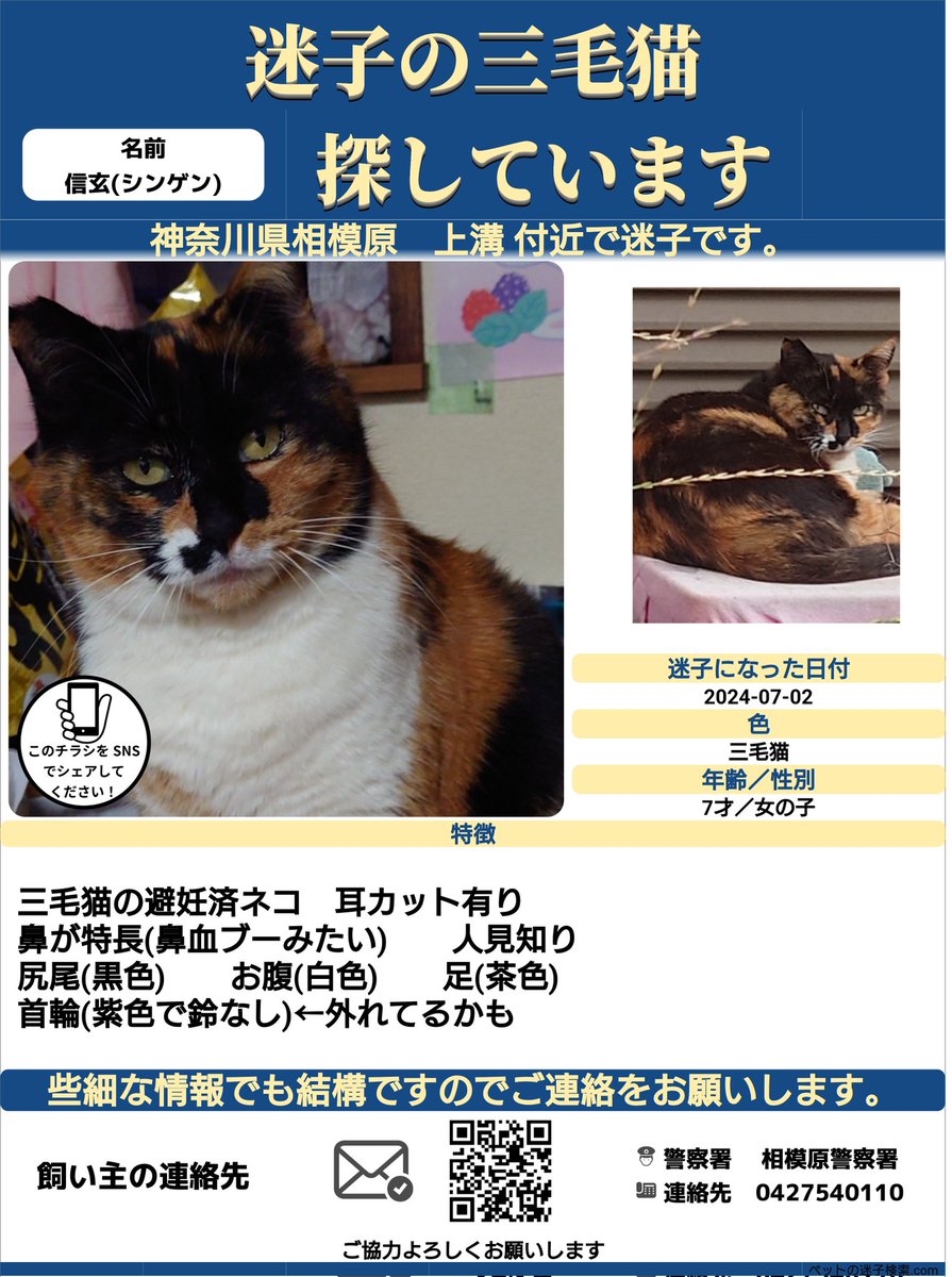 shino (@shimaneko1447) / Posts / X