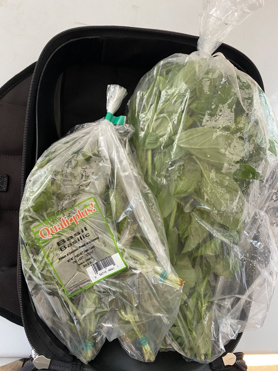 DaveDaBikeGuy's tweet image. Great mornings start at @on_unionstreet 
#PestoTime ps. Get that scooter outta my bike parking!!