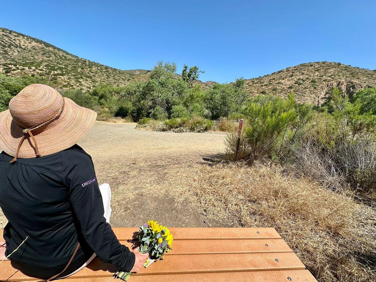 Bridge For Max tweet media