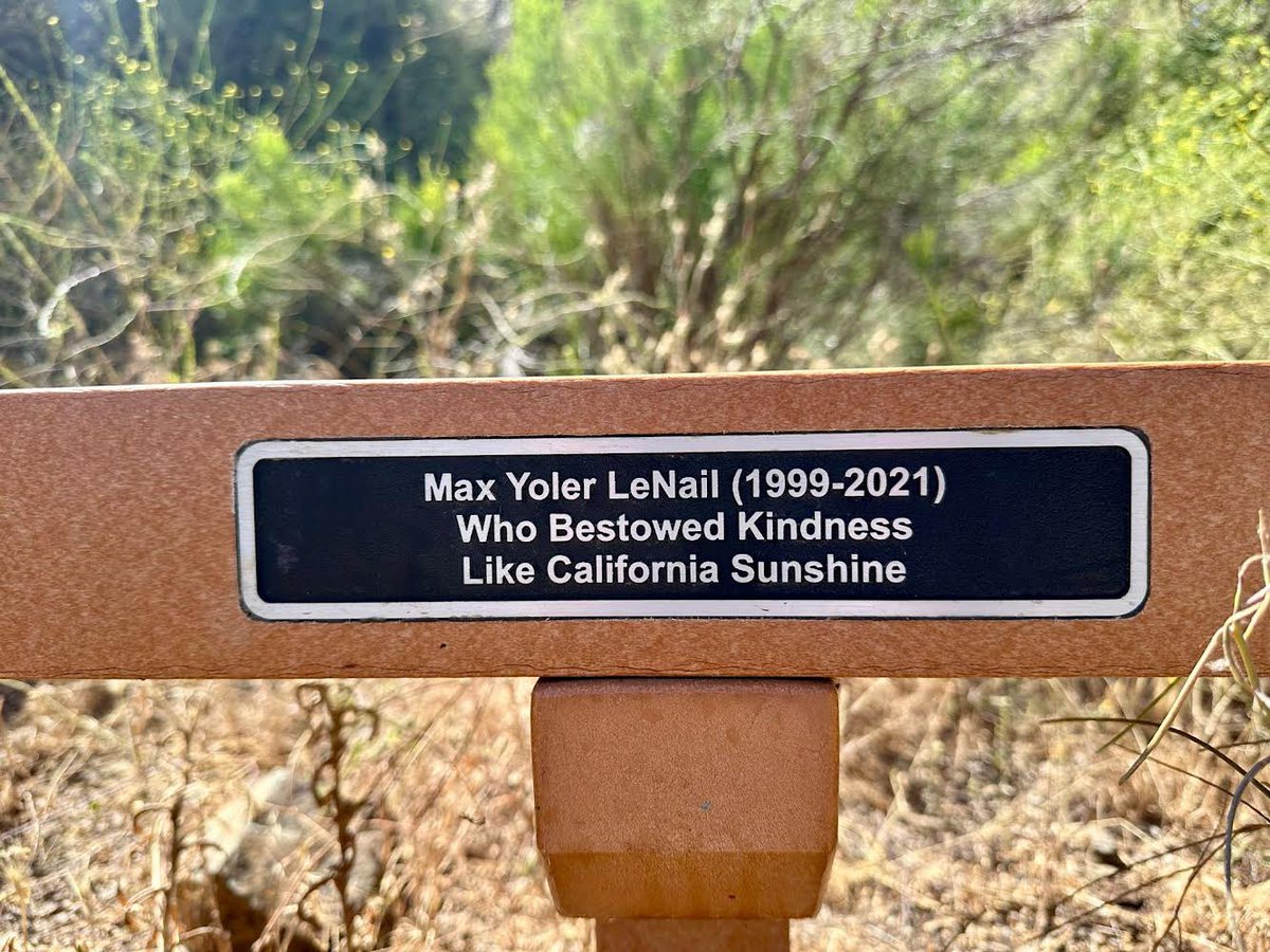 Bridge For Max tweet media