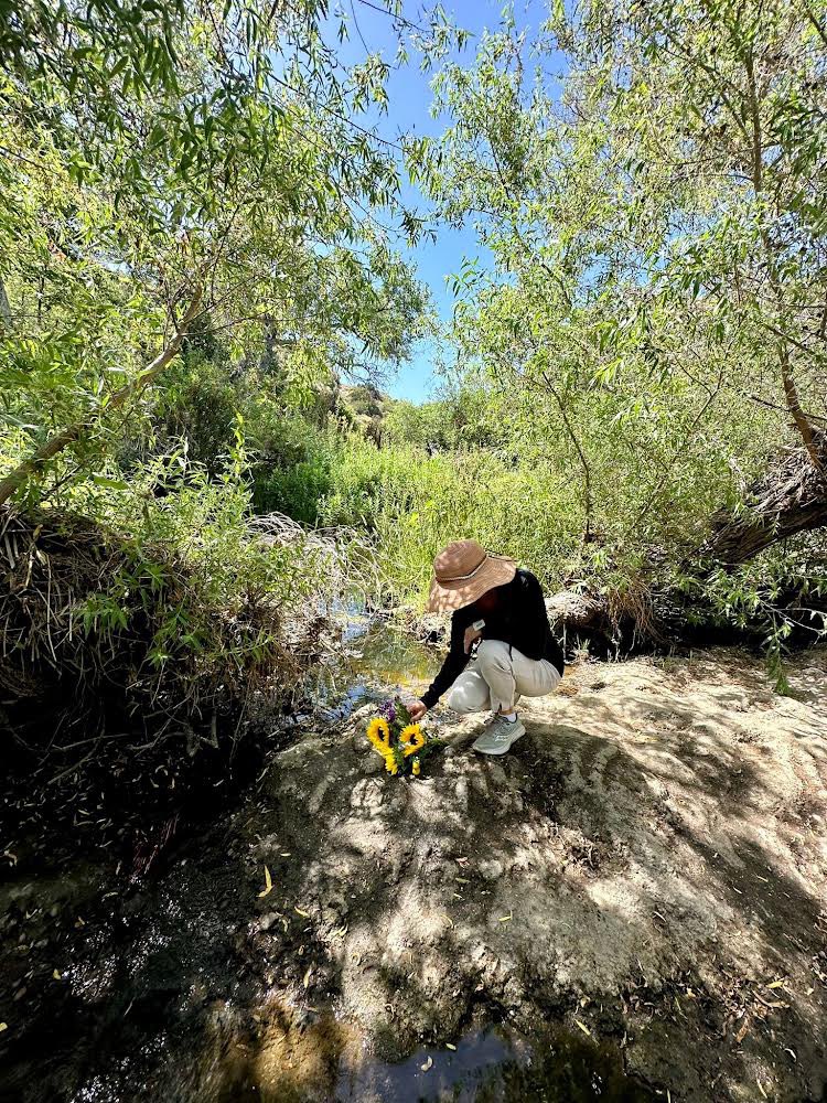 Bridge For Max tweet media