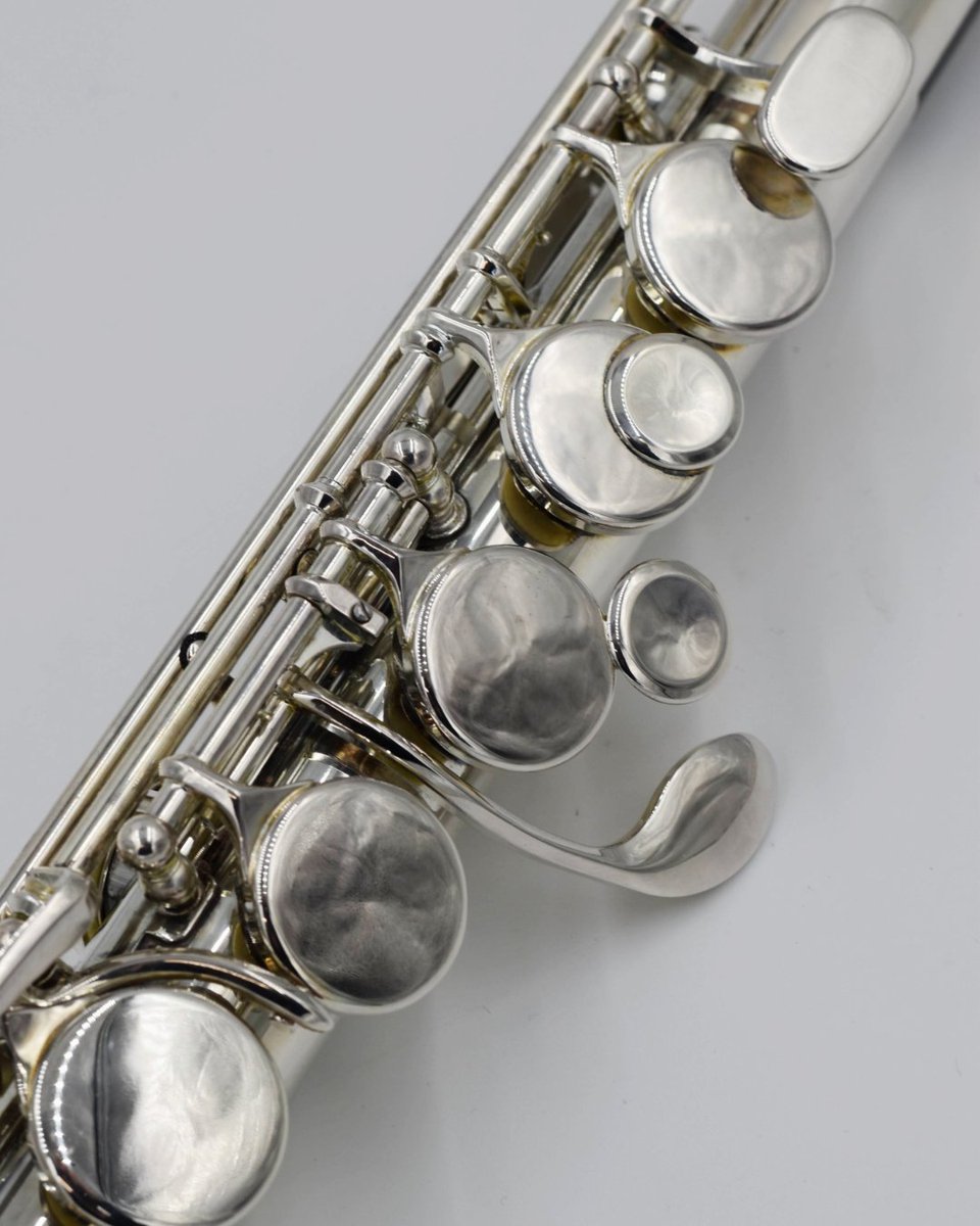 All Flutes Plus tweet media