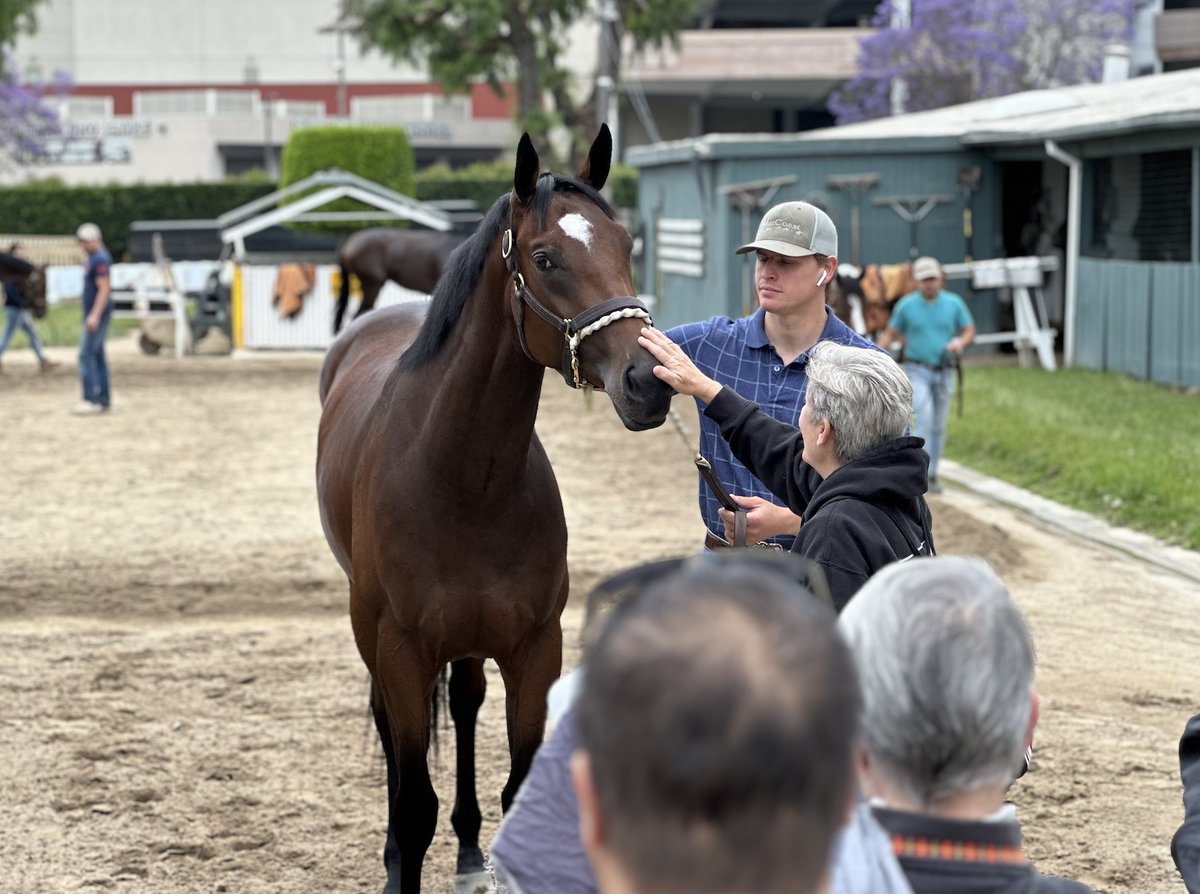 MyRacehorse tweet media