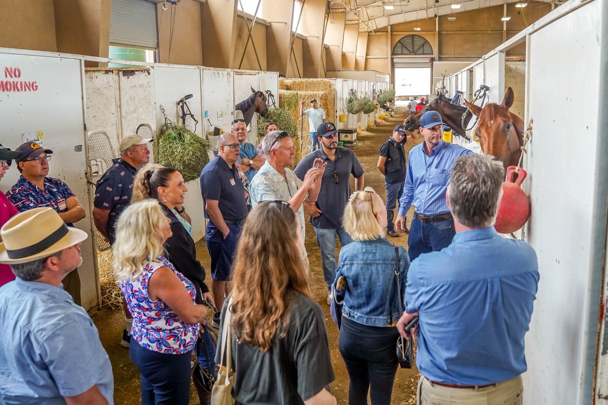 MyRacehorse tweet media