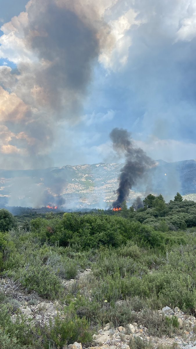 eneammmm's tweet photo. De l’incendi que  hi ha ara mateix a Ortells https://t.co/ZvO0nl6QVE