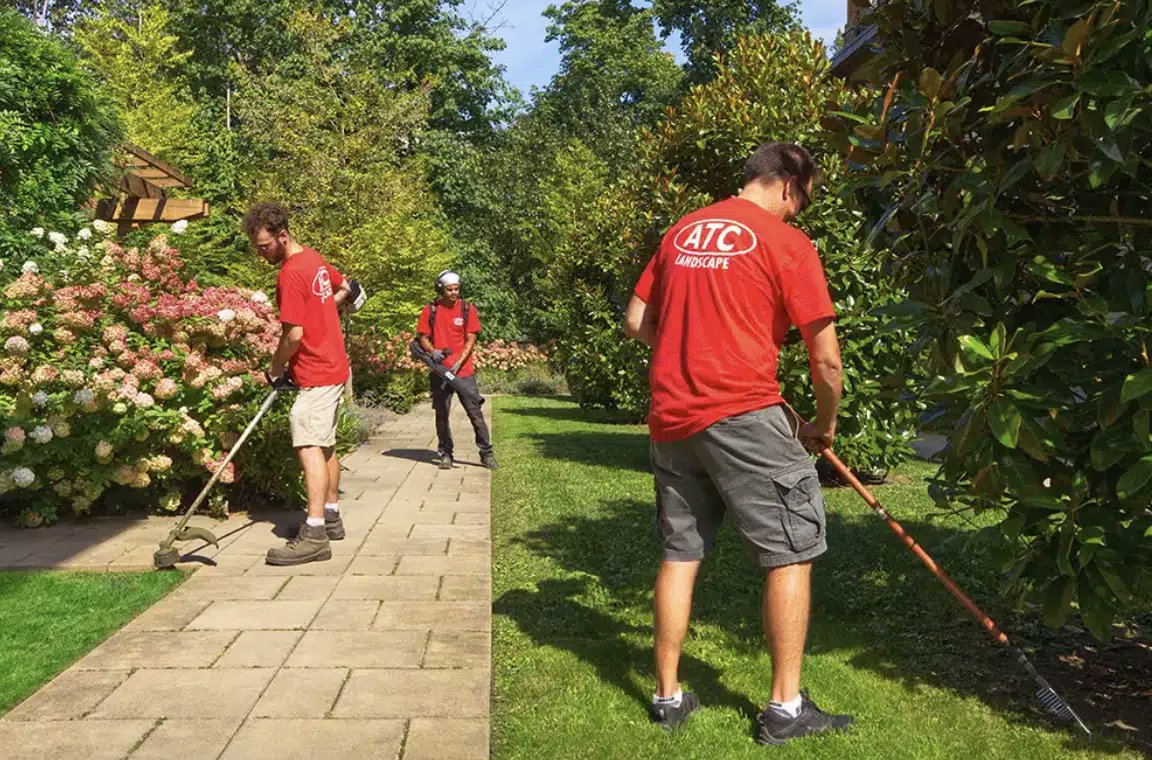 ATC Landscape tweet media