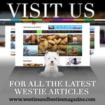 Photo by Westies & Besties Magazine (@BestiesMagazine)