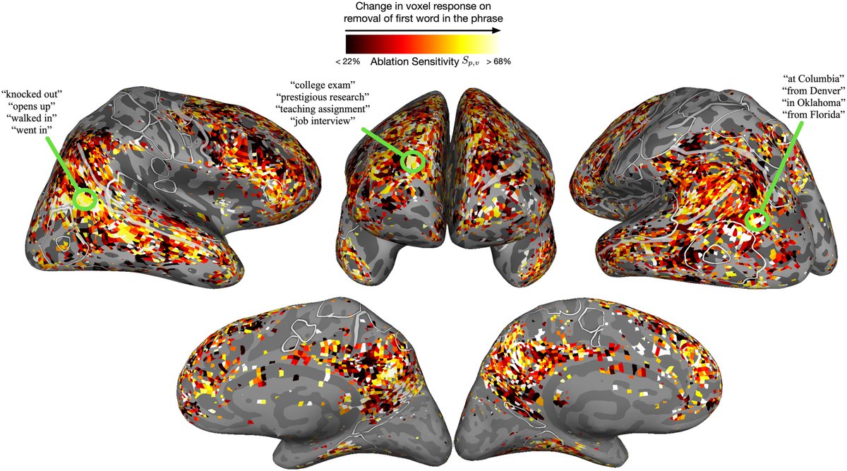 Neurobiology of Language (@jneurolang) on Twitter photo Computational Language Modeling and the Promise of In Silico Experimentation | doi.org/10.1162/nol_a_… | by <a href="/shaileeejain/">Shailee Jain</a>, <a href="/vvobot/">Vy Vo</a>, Leila Wehbe & <a href="/alex_ander/">Alexander Huth</a> Computational Language Modeling and the Promise of In Silico Experimentation | doi.org/10.1162/nol_a_… | by <a href="/shaileeejain/">Shailee Jain</a>, <a href="/vvobot/">Vy Vo</a>, Leila Wehbe & <a href="/alex_ander/">Alexander Huth</a>
