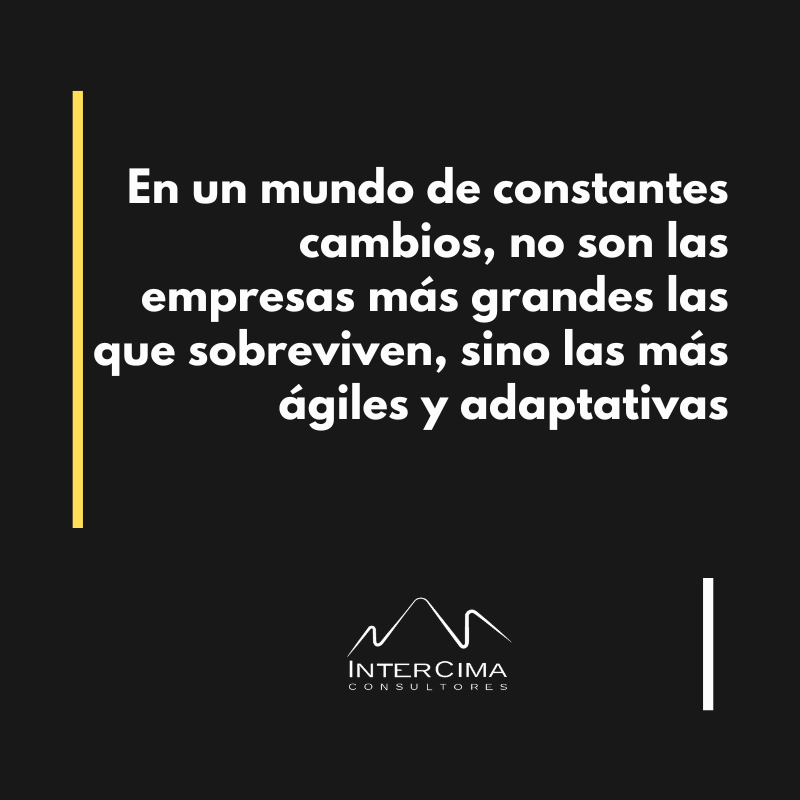 InterCima's tweet image. 