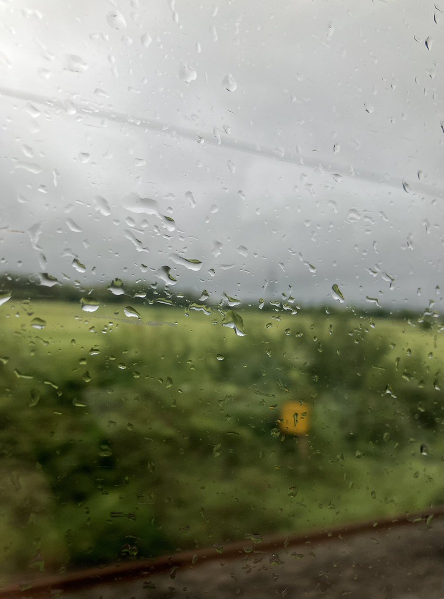 Being prepared for 40 days &amp; 40 nights of rain, thanks St Swithin ☔️

#StSwithinsDay #goodbyetosummer