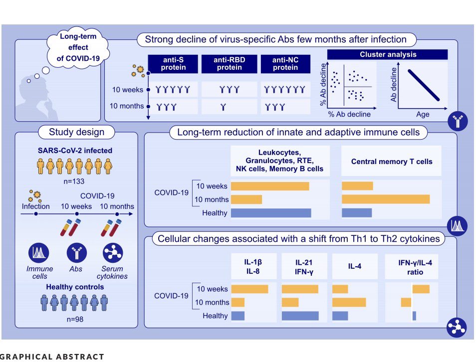 RWittenbrink's tweet photo. Langfristige Schädigung des zellulären Immunsystems durch #COVID19

Diese Studie legt nahe, dass eine COVID-19-Infektion die Abwehrfähigkeit des Körpers nachhaltig beeinträchtigen kann. Dies könnte Menschen anfälliger für zukünftige Infektionen oder andere gesundheitliche … https://t.co/7aiWfDzbLU