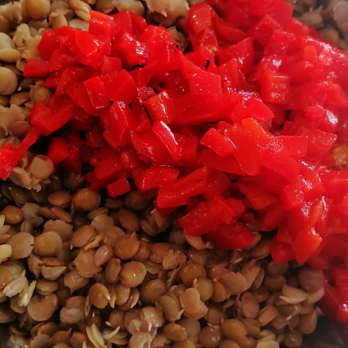 MikeKocht's tweet image. Bei Hitze bleibt die Küche (fast) kalt. #Salat #Twooking ist angesagt.
Heute mit (grünen) #Linsen und gegrillten #Paprika
Für Steirer gehört natürlich (Kürbis-) #Kernöl dazu
Wer mag und darf: Knuspriger #Speck als Topping

mikekocht.at/2024/07/15/lin…
