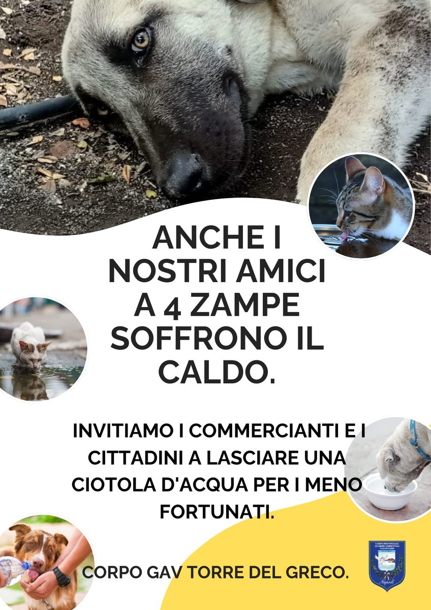 Jane Goodall Institute Italia tweet media