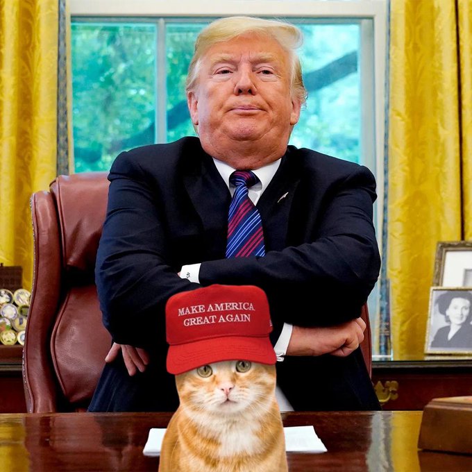 🚨 BREAKING: Donald Trump makes headlines again! 📰

Just like Trump, Trumi Coin is shaking up the game. 💥 Invest smart, invest in the future of crypto with $TRU! 🚀

Find out more at trumicto.xyz

#Trump #CryptoNews #TrumiCoin #InvestSmart #Blockchain #Crypto