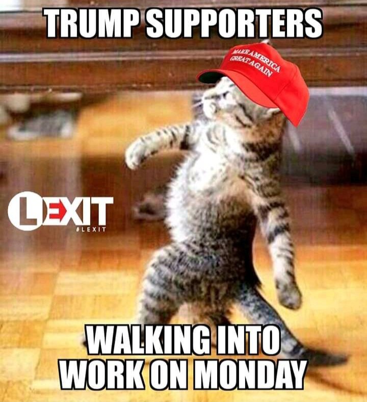 quackcat77's tweet photo. @kylenabecker https://t.co/ISGh1bilR1