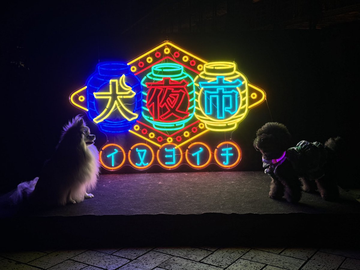 chima_tsuki's tweet photo. 横浜犬赤レンガ倉庫の犬夜市に20時から行ってきたよ〜
涼しくて気持ちよかったよ
#犬夜市 #赤レンガ倉庫 #いぬのいる暮らし https://t.co/xACPANMSWn