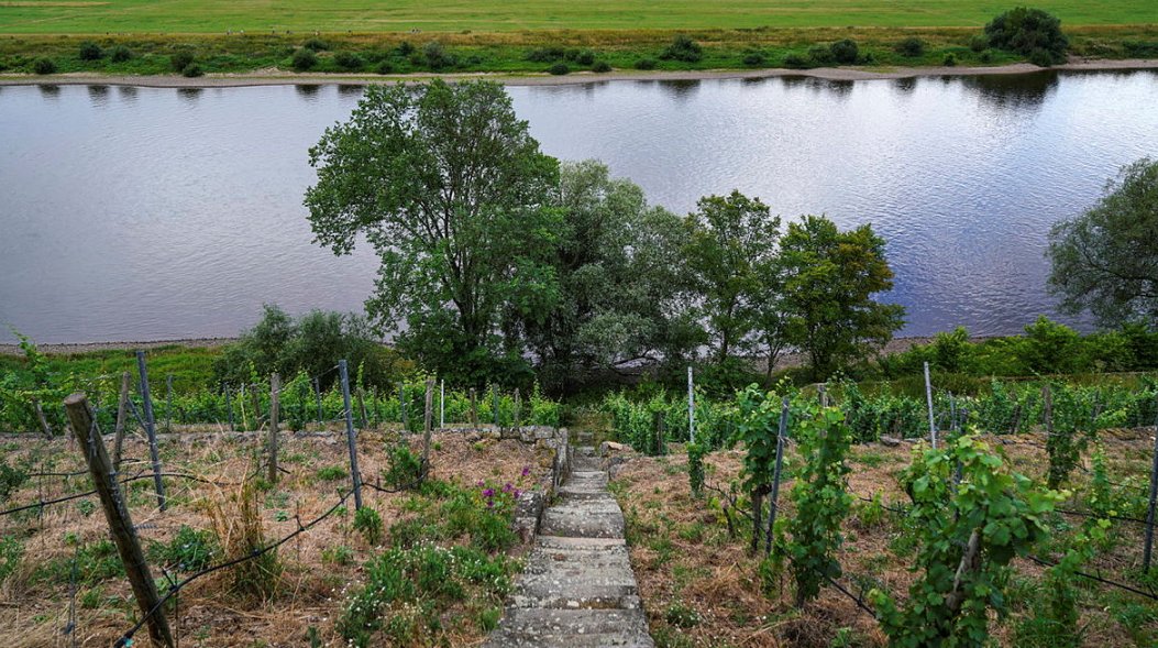 Mitte Februar ist ein Mann an dieser Stelle in #Dresden in die Elbe gefallen, wäre fast ertrunken. Drei Winzer sahen den Unfall und haben dem Mann das Leben gerettet. Fünf Monate später haben sich Retter + Geretteter erneut getroffen - ich war dabei: saechsische.de/dresden/lokale…