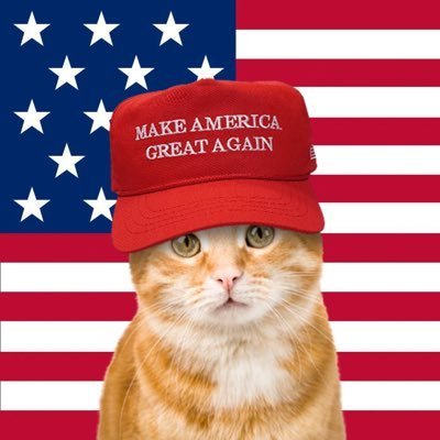 🚨 BREAKING: Donald Trump in the spotlight again! 📰🔥

Just like Trump, Trumi  is making waves. Don't miss out on the future of crypto! 🚀

Discover how you can ride the wave with $TRUMI at trumicto.xyz

#Trump #CryptoNews #Trumi #Blockchain #InvestSmart