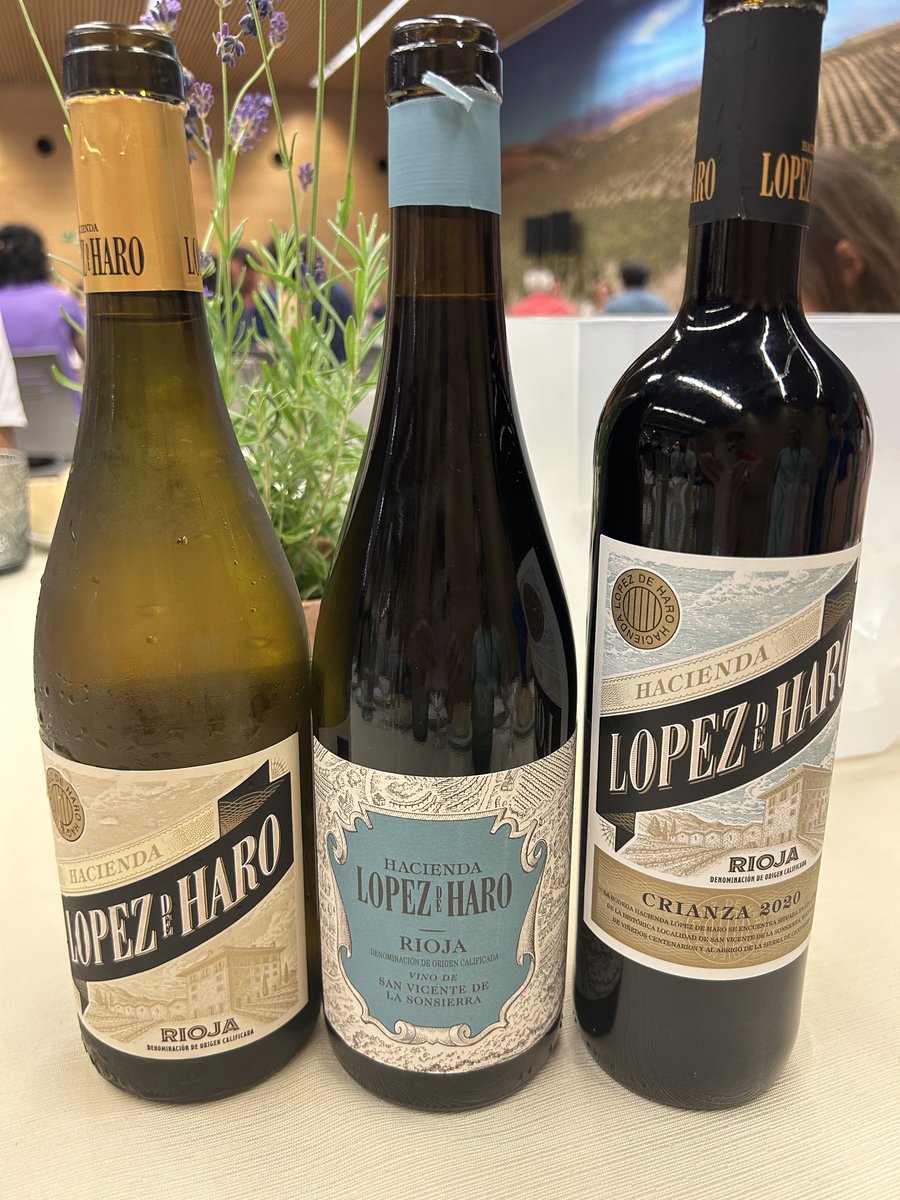 Open-GPB2024 Conference tweet media