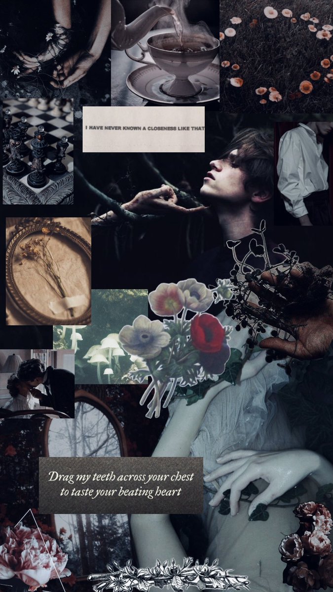 🦷FAIR OF FLESH🦷

Desire shared between apex predators is much like hunger— and courtship, much like the hunt.

💍regency fantasy
⚔️enemies to lovers
✨arranged marriage / soulmates
🦋trans MC➕genderless LI
🌹fae romance for monsterf😳ers

#PicantePit #Drafting