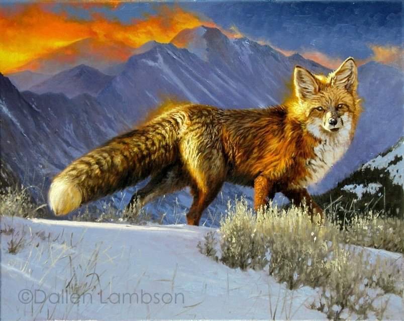 Outdoors Pulse tweet media