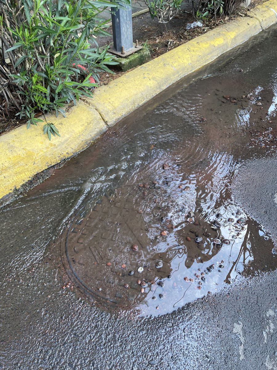 Andres Quintero tweet media