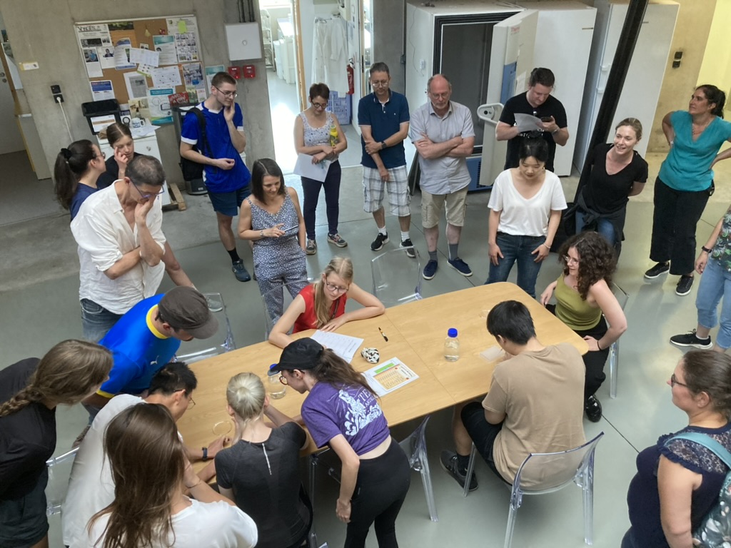 UMR_IAM's tweet photo. Last Friday, we had our first Olymp'IAM (@UMR_IAM Olympics). A little competition and a lot of fun and laughter!
Thanks to Solène, Sandrine and Mathilde for the perfect organization! https://t.co/R3UfXAn5oP