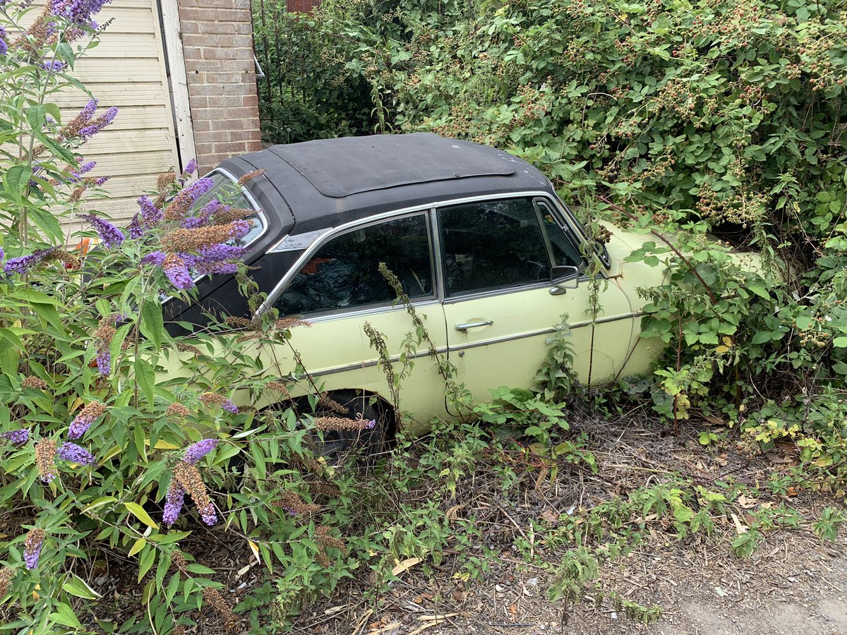 Alan_Attack's tweet photo. #hedgefind anyone? @Carpervert https://t.co/rQYH9mOHX5