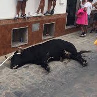 Hace falta ser bárbaro para divertirse de esta forma.

Violencia pura.