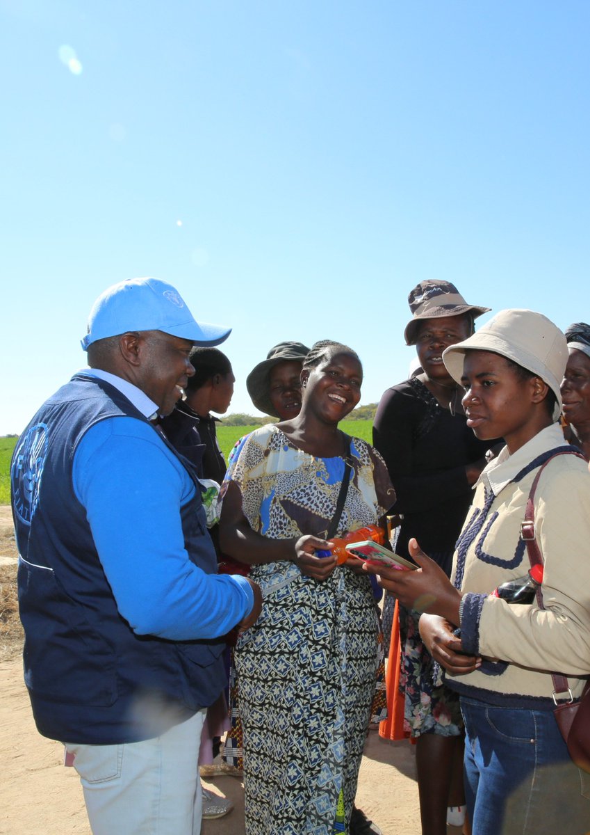 faosfsafrica's tweet photo. 🚜Thanks to @AfDB_Group funding, @FAOsfsafrica, government &amp; partners are empowering farmers in Zimbabwe, with large-scale irrigation 💧 schemes for winter wheat🌾production.

Combating impacts of El Niño &amp; boosting climate resilience🌾💪. #SustainableFarming #ClimateResilience https://t.co/y7zNPtTgl5