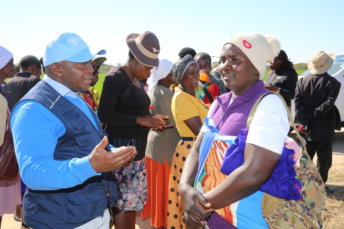faosfsafrica's tweet photo. 🚜Thanks to @AfDB_Group funding, @FAOsfsafrica, government &amp; partners are empowering farmers in Zimbabwe, with large-scale irrigation 💧 schemes for winter wheat🌾production.

Combating impacts of El Niño &amp; boosting climate resilience🌾💪. #SustainableFarming #ClimateResilience https://t.co/y7zNPtTgl5