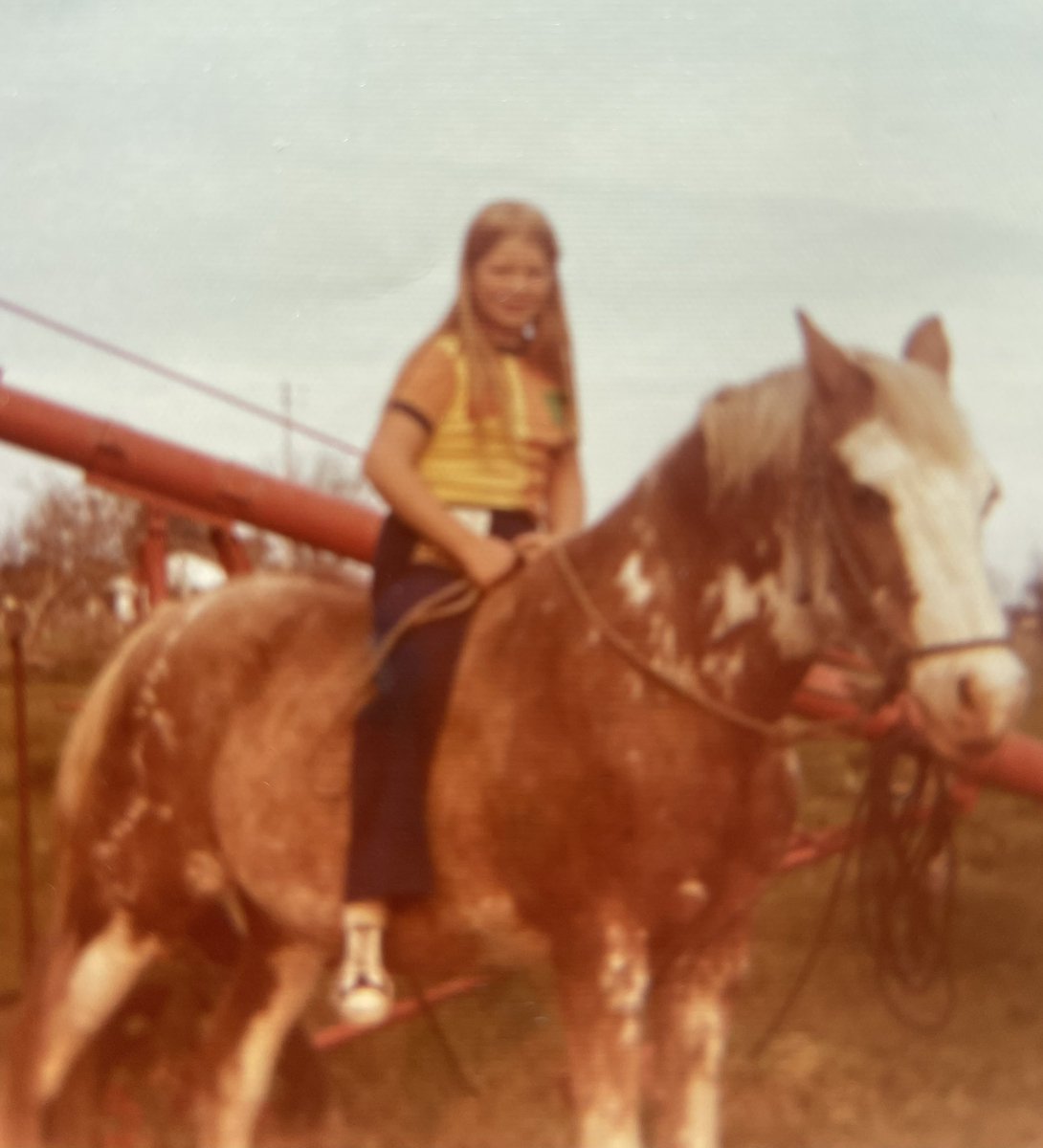 AuthorCarson's tweet image. On this #nationalilovehorsesday, I’m reminded of one of both a favorite childhood book and activity. That’s me astride the horse an extended family member let me ride during my summer breaks. Great memories. #kidsbooks #favoritereads #horses #memories #writerslife