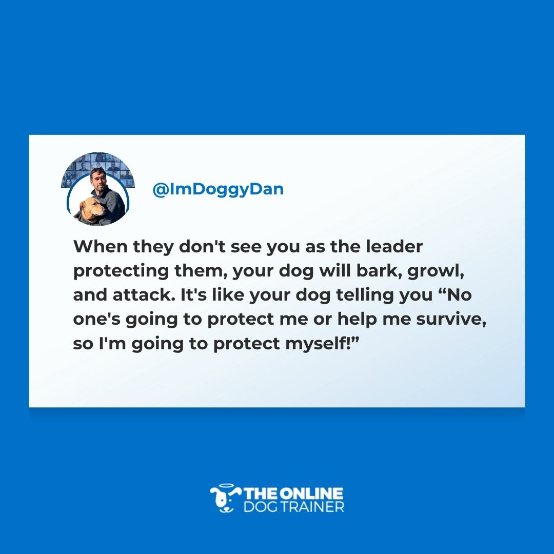 ImDoggyDan's tweet image. For your dog, leadership matters. (I teach it in my FREE WEBINAR: theonlinedogtrainer.com/reactivity-web…).

I talk more about establishing dog leadership in my FREE WEBINAR. Don't forget to join! 

#dogreactivity #reactivedogs #reactivedog #dogtraining