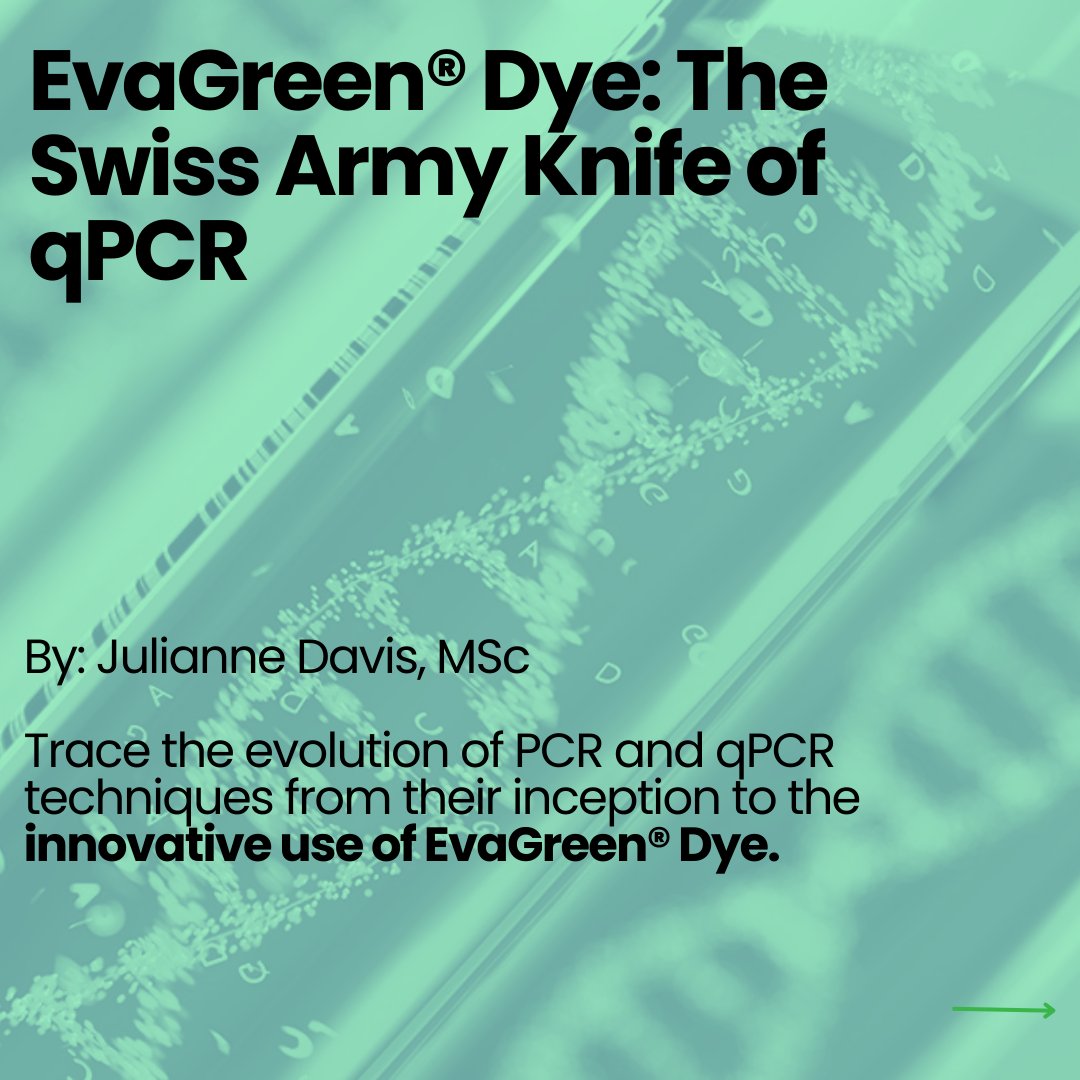 biotium's tweet photo. Craving some exciting #summer reads? We've got you! 😎☀️📖 Take a look at these engaging articles from our blog, The Full Spectrum!

Browse more articles at: https://t.co/5fcbwR6uzP

#sciencearticle #scienceread #fluorescentdye #scienceexperiment #antibody #qpcr #microscopy https://t.co/G9f2puCr2U
