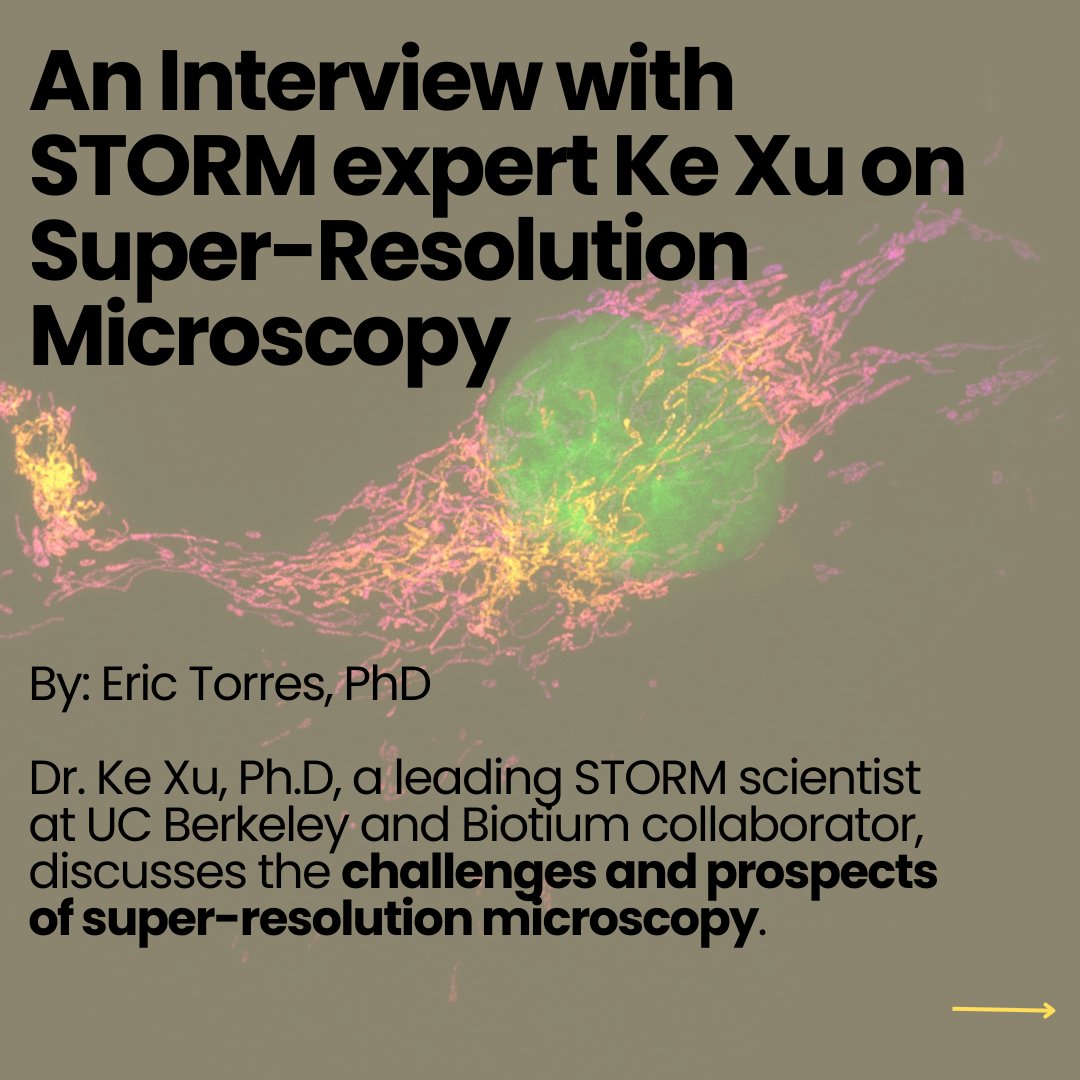 biotium's tweet photo. Craving some exciting #summer reads? We've got you! 😎☀️📖 Take a look at these engaging articles from our blog, The Full Spectrum!

Browse more articles at: https://t.co/5fcbwR6uzP

#sciencearticle #scienceread #fluorescentdye #scienceexperiment #antibody #qpcr #microscopy https://t.co/G9f2puCr2U