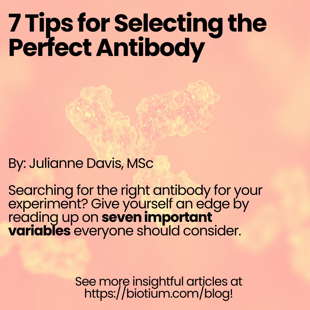 biotium's tweet photo. Craving some exciting #summer reads? We've got you! 😎☀️📖 Take a look at these engaging articles from our blog, The Full Spectrum!

Browse more articles at: https://t.co/5fcbwR6uzP

#sciencearticle #scienceread #fluorescentdye #scienceexperiment #antibody #qpcr #microscopy https://t.co/G9f2puCr2U