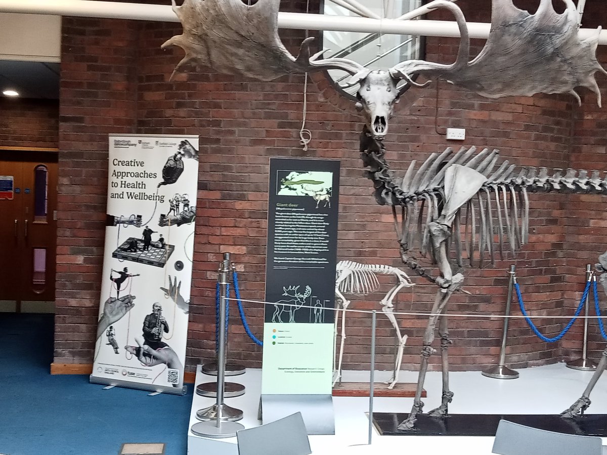 Durham Biosciences department Creative approaches to Health and Wellbeing