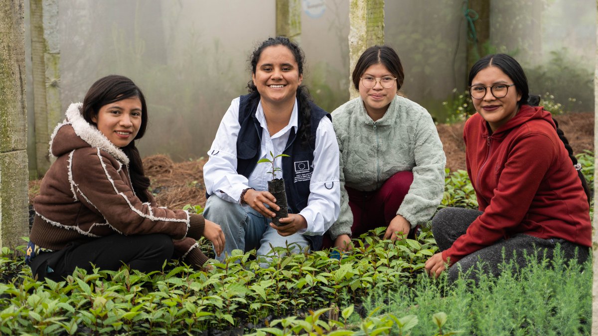 UEGuatemala's tweet photo. El diplomado de #PromotoresAgroforestales de 🇪🇺 y #FUNDAP, brinda asistencia técnica y capacitación en unidades productivas a #jóvenes, como el caso de la Asociación ASOGTURC, en Quetzaltenango, que crean productos de cuidado personal con las plantas de su vivero medicinal. https://t.co/gW3nri2w4m