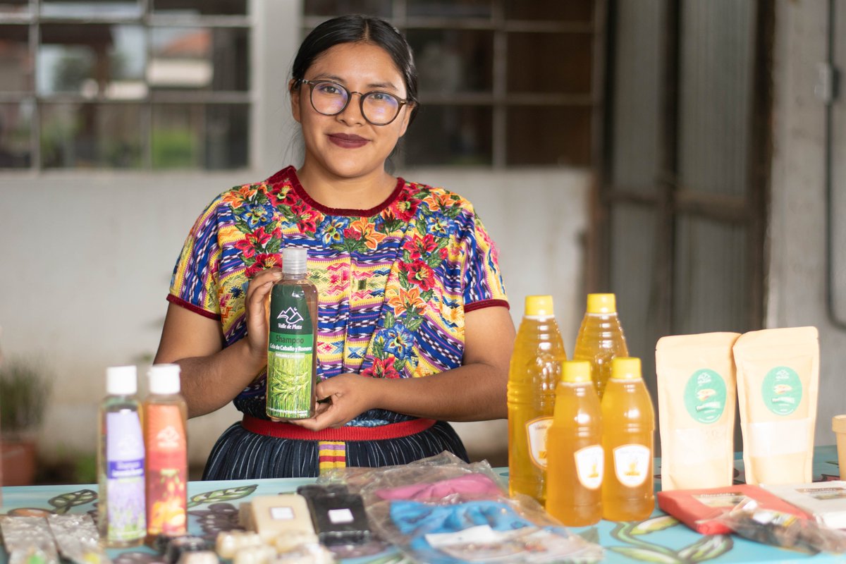 UEGuatemala's tweet photo. El diplomado de #PromotoresAgroforestales de 🇪🇺 y #FUNDAP, brinda asistencia técnica y capacitación en unidades productivas a #jóvenes, como el caso de la Asociación ASOGTURC, en Quetzaltenango, que crean productos de cuidado personal con las plantas de su vivero medicinal. https://t.co/gW3nri2w4m