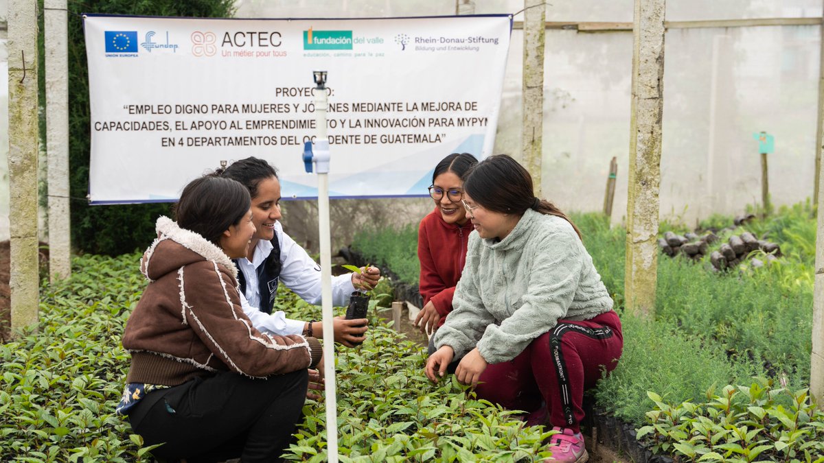 UEGuatemala's tweet photo. El diplomado de #PromotoresAgroforestales de 🇪🇺 y #FUNDAP, brinda asistencia técnica y capacitación en unidades productivas a #jóvenes, como el caso de la Asociación ASOGTURC, en Quetzaltenango, que crean productos de cuidado personal con las plantas de su vivero medicinal. https://t.co/gW3nri2w4m