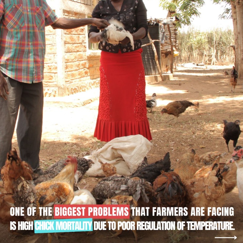 UNESCO's tweet photo. Youth are change-makers! 🧑‍🎓

Five young engineering students are revolutionizing agriculture with their innovative projects. They are creating new job opportunities for young people in #Uganda and beyond.

On #YouthSkillsDay, explore their UNESCO-supported project below ⤵️