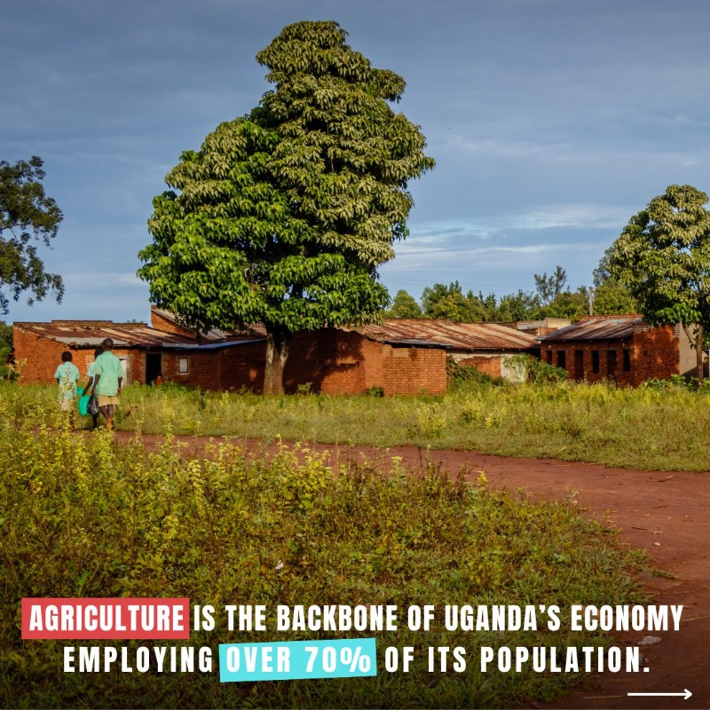 UNESCO's tweet photo. Youth are change-makers! 🧑‍🎓

Five young engineering students are revolutionizing agriculture with their innovative projects. They are creating new job opportunities for young people in #Uganda and beyond.

On #YouthSkillsDay, explore their UNESCO-supported project below ⤵️