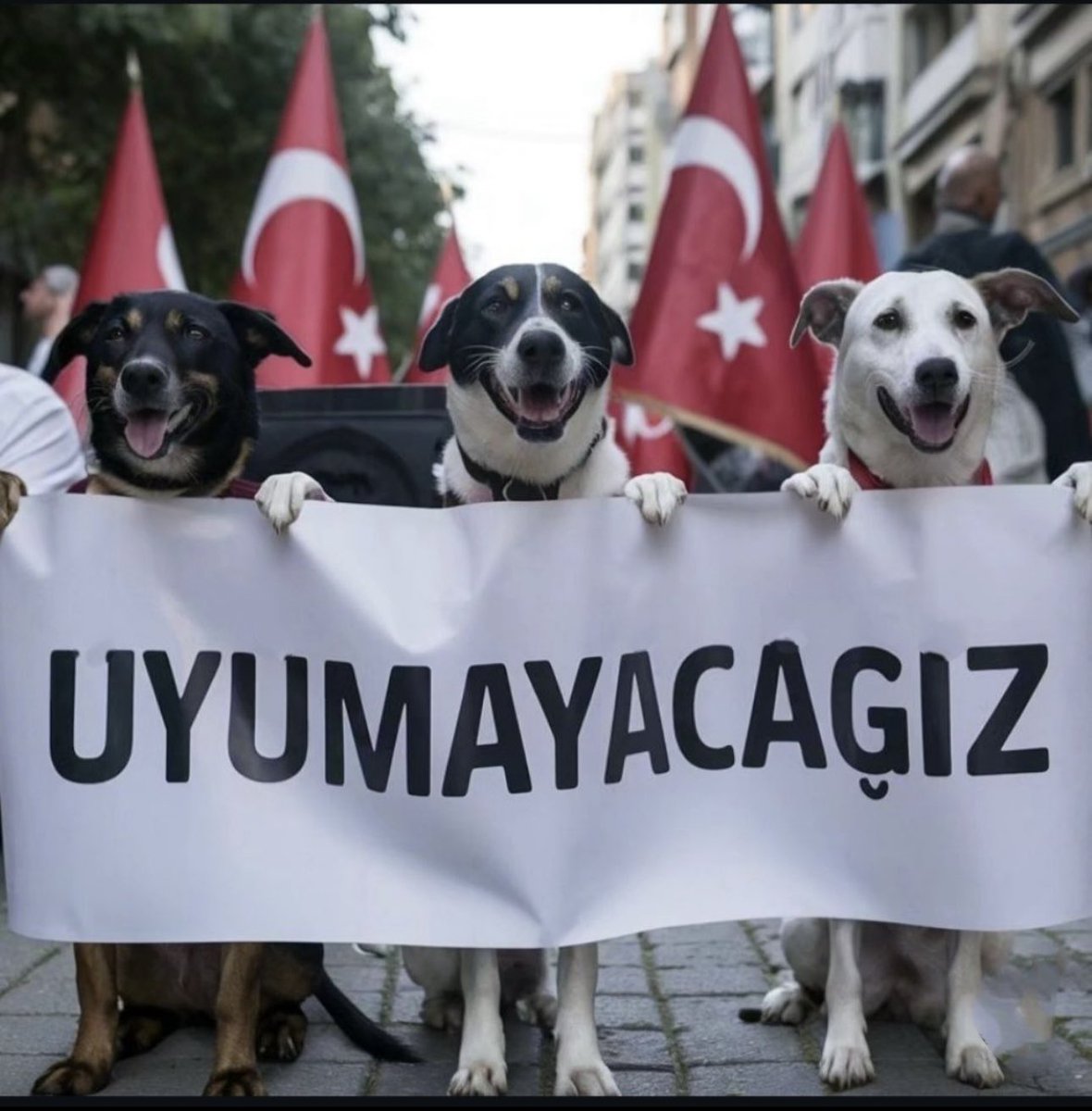 _drmiray_'s tweet photo. Uyutturmayacağız çocuklar!!#yasayahayır  #YasayıGeriCek #YasayıGeriÇekKatliyamaHayır https://t.co/6NXTEeKK2I