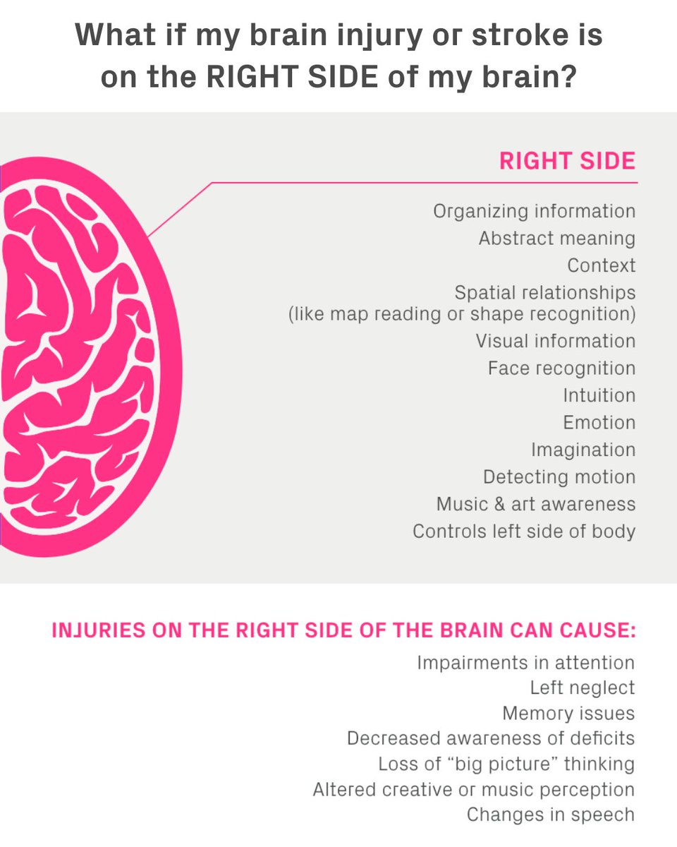 ConstantTherapy's tweet image. Your brain is divided into two sides, called hemispheres, so what&apos;s the difference between the right side &amp;amp; the left side of your #brain? DL this resource from Constant Therapy for a quick guide to introduce patients or clients to the concept. #BrainBasics constanttherapyhealth.com/brainwire/righ…