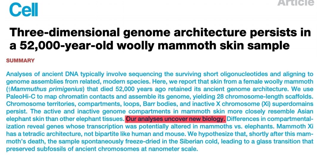Andrew Oldfield tweet media