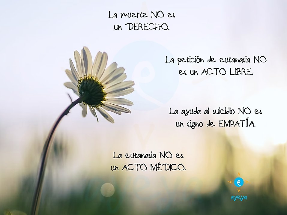 espacioayeya's tweet image. Esos días en los que tus sentimientos son entonados por las palabras de buenas personas.
1️⃣ La muerte NO es un DERECHO
2️⃣ La petición de eutanasia NO es un ACTO LIBRE
3️⃣ La ayuda al suicidio NO es un signo de EMPATÍA
4️⃣ La eutanasia NO es un ACTO MÉDICO
Gracias @ObispoMunilla