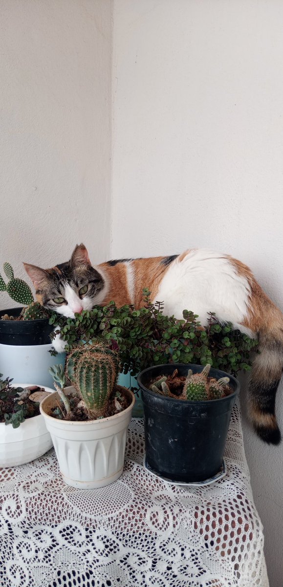 Sana benim gözümle bakan gözler çok olsun !🙏💜
#YasayıGeriÇekKatliyamaHayır