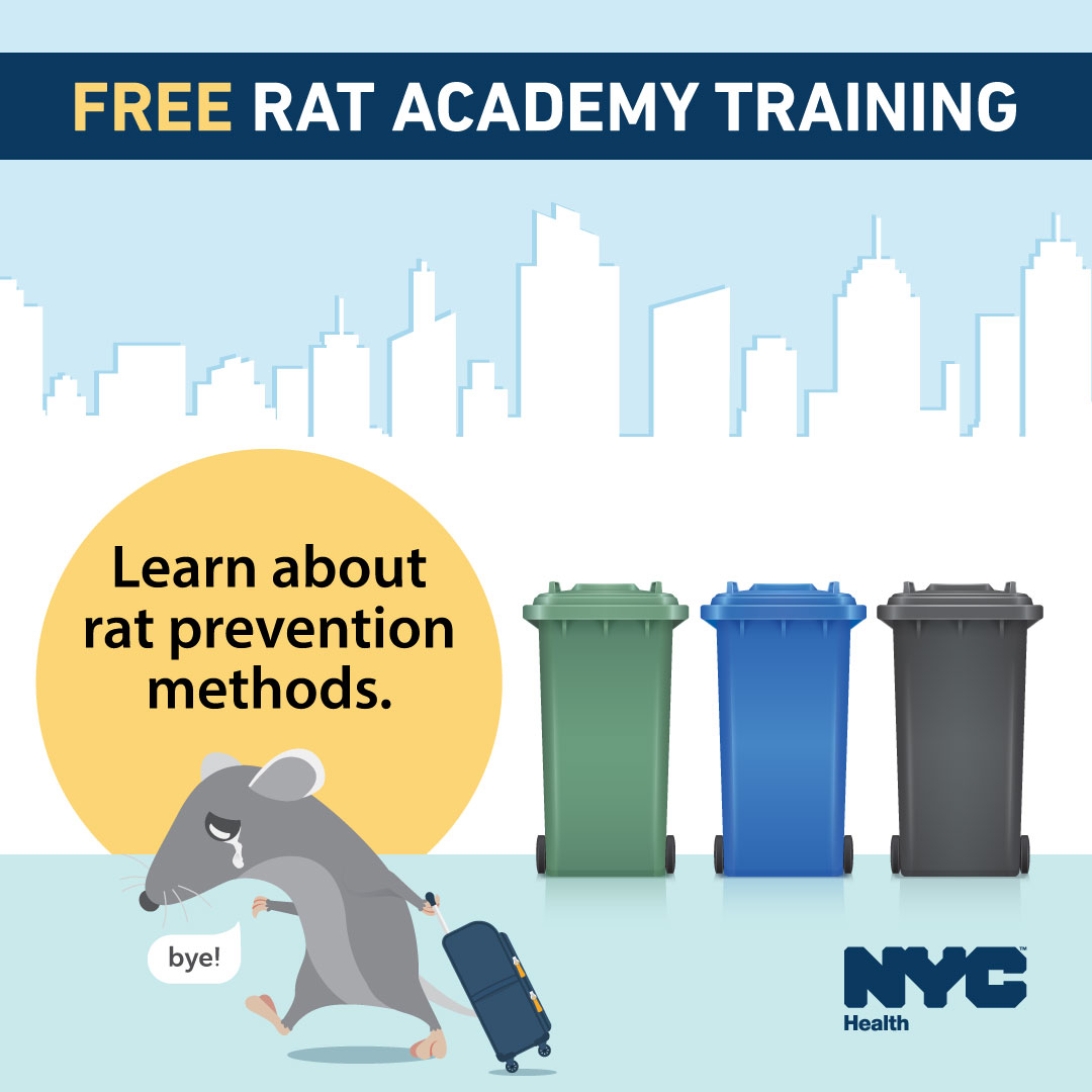 Join us for our virtual Rat Academy training tomorrow, July 16, at 5:30 p.m.! You'll learn about:
🐀 What you can do to control rats​
🐀 Rat biology and behavior​
🐀 Why rats thrive in NYC
🐀 What the city does to control rats
Register: on.nyc.gov/48iWgRE